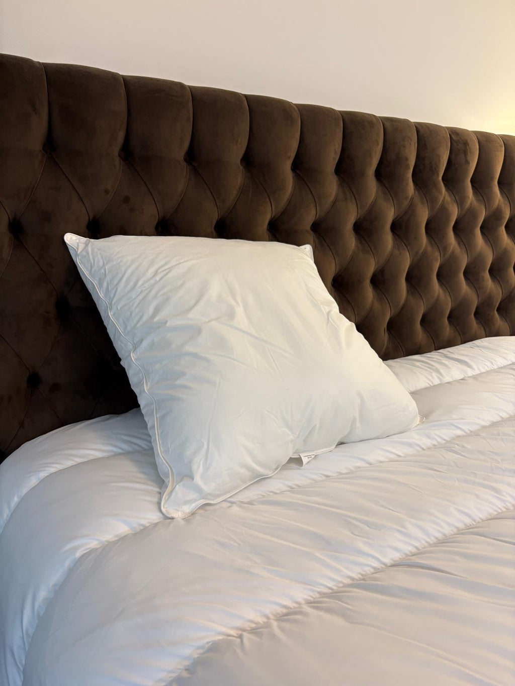 Oreillers Alain de vauban - Percale de coton JLB Home